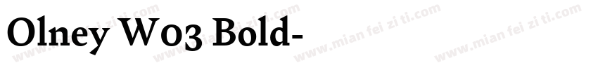 Olney W03 Bold字体转换